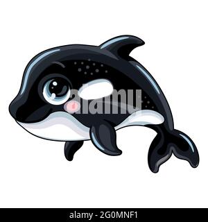 Funny cute happy killer whale orca. Sea creatures. Cartoon marine animal character. Vector illustration isolated on white background. For children app Stock Vector