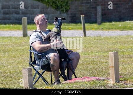 Young man with tattoos cuddling his dog at the seaside on a chair outside, Flamborough, UK Stock Photo