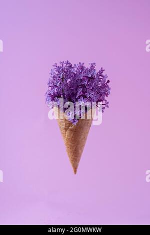 ice cream lilac flowers in a waffle cup on a pink background minimalism Summer concept Stock Photo