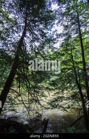 Mohican River, Mohican State Park, Ohio Stock Photo