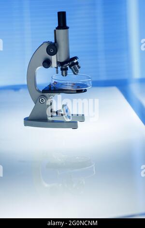 The microscope in lab Stock Photo