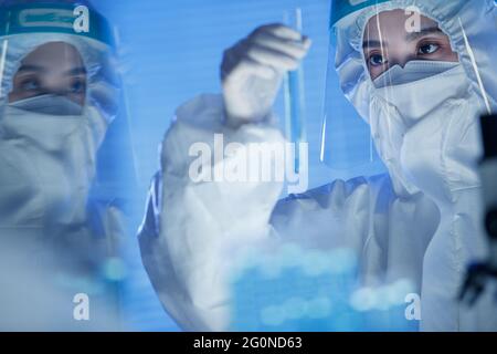 Medical workers do medical experiments Stock Photo