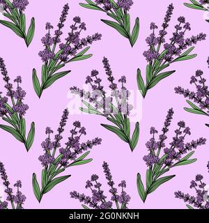 lavender seamless pattern. Vector illustration in hand drawn engraved style, background for fabric, textile, wrapping paper, sketchbook etc Stock Vector