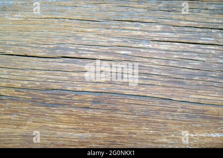 Texture of the old wood surface. Blank for designers. Stock Photo