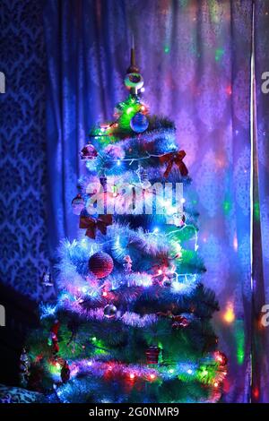 Christmas elegant tree stands under the window Stock Photo