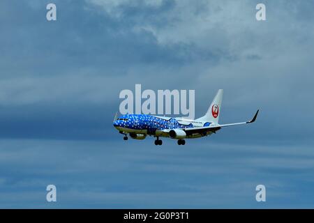 Japan Transocean Air, JTA, Boeing B-737/800, JA 05RK, Whaleshark, Landing, Naha Airport, Naha, Okinawa, Ryukyu Islands, Japan