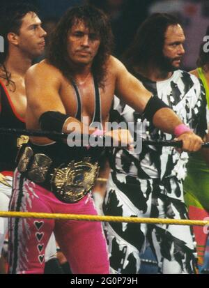 Macho man randy savage hi-res stock photography and images - Alamy