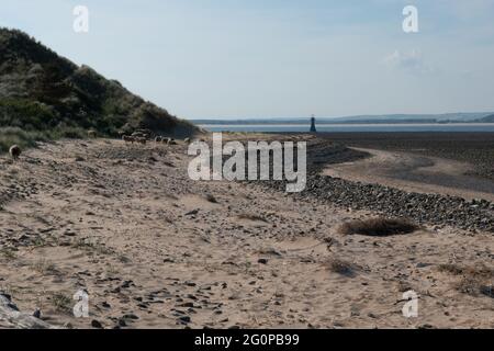 The beach at Whiteford Point, The Gower, Wales, UK Stock Photo