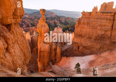 Thor's Hammer, Sunset Point, Bryce Canyon, Utah, USA Stock Photo