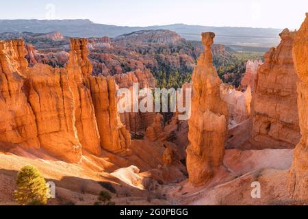 Thor's Hammer, Sunset Point, Bryce Canyon, Utah, USA Stock Photo