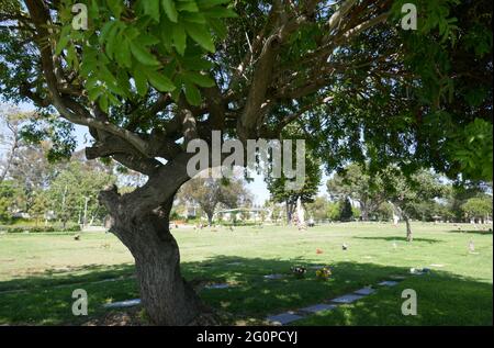 Lake Forest, California, USA 2nd June 2021 A general view of atmosphere of Ascension Cemetery on June 2, 2021 in Lake Forest, California, USA. Photo by Barry King/Alamy Stock Photo Stock Photo