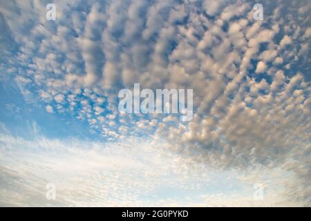 Beautiful blue sky with white cirrus, fluffy clouds. Sky panorama for screensavers, postcards, calendar, presentations. Low point at wide angle. Warm spring or summer evening. Stock Photo