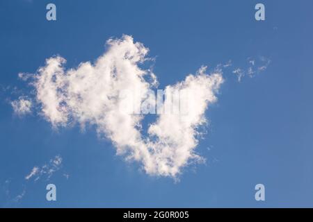 Beautiful blue sky with white cloud. Sky panorama for screensavers, postcards, calendar, presentations. Warm summer day. Stock Photo