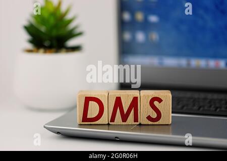 photo on DMS theme. wooden cubes with the inscription "DMS", on the background of laptop and succulent Stock Photo