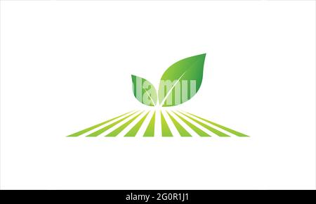 Sunny green leaf  Fields icon Logo design  illustration vector symbol Stock Vector