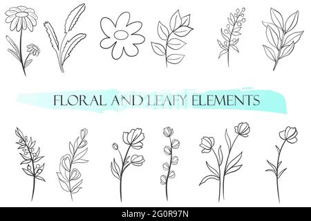 Set of branches with leaves and flowers, Vector. Collection of natural elements. Simple details of plants for design. Hand drawing. Stock Vector