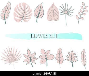 Leaves set, vector. Botanical simple elements of delicate pink color for design. Leaves are different, collection. Stock Vector