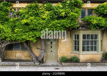 Honey coloured Cotswold stone cottage on the High Street, in the attractive town of Broadway, Cotswolds, UK; old Wisteria vine covering the  front. Stock Photo