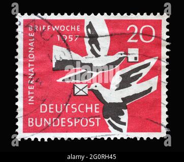Stamp printed in Germany, shows Carrier Pigeons, International Letter Writing Week, circa 1957 Stock Photo