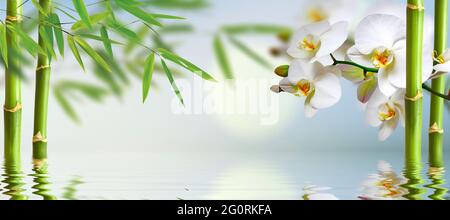 spa background with ochideen and bamboo in green Stock Photo