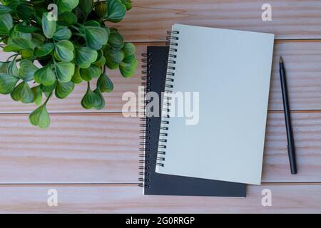 Note book and potted plant on wooden table. Space for text Stock Photo