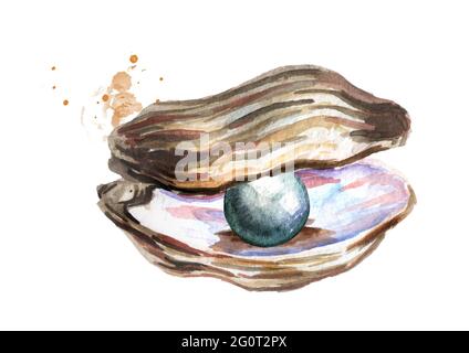 Black pearl in the shell. Hand drawn watercolor illustration isolated on white background Stock Photo