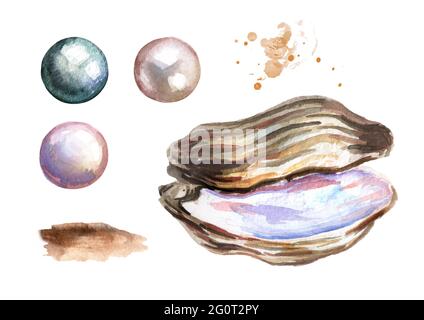 Pearls and shell set. Hand drawn watercolor illustration  isolated on white background Stock Photo