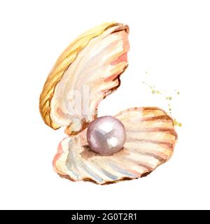 Pearl in the shell. Hand drawn watercolor illustration isolated on white background Stock Photo