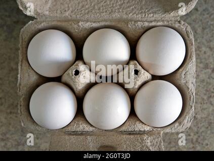Half a dozen white chicken eggs on cardboard box Stock Photo