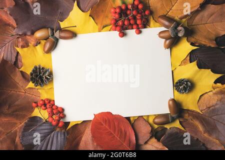 Blank sheet of paper with place for text on colorful autumn leaves. Template for design or postcards. Stock Photo