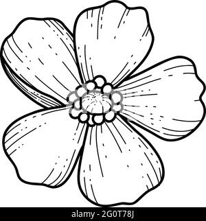 Free hand Sakura flower vector, Beautiful line art Peach blossom isolate on white background. Spring japan flower. Realistic hand drawn style Stock Vector