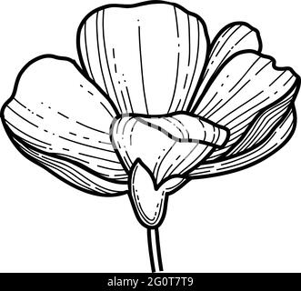 Free hand Sakura flower vector, Beautiful line art Peach blossom isolate on white background. Spring japan flower. Realistic hand drawn style Stock Vector