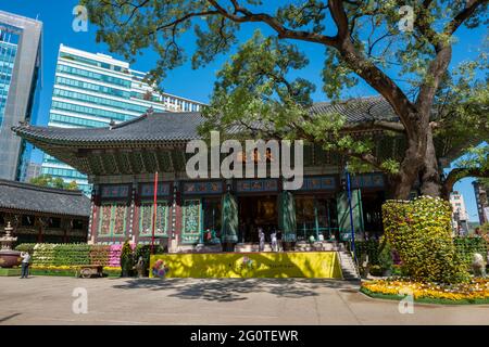 Jogyesa temple is the chief temple of Jogye Order of Korean Buddhism, becoming so in 1936. Jogyesa is located in Jongno-gu,in downtown Seoul. S. Korea Stock Photo