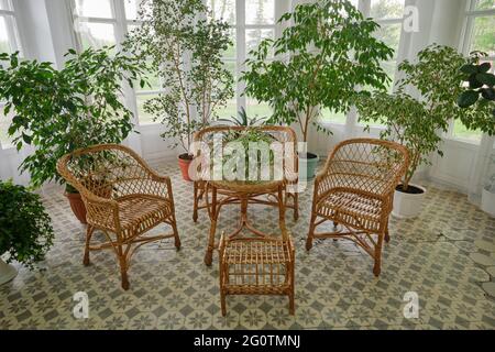 Wicker chairs and table. Natural rattan furniture and flower pots in a sunny living room. Stock Photo