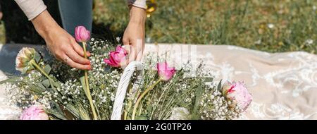Close-up woman hands touching and arranging pink tulips and wild white flowers into a basket on a spread blanket on the grass. Horizontal banner or he Stock Photo