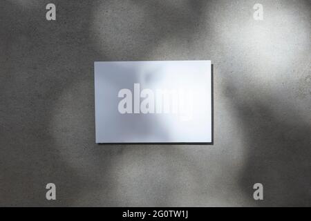Blank white invite or postcard under dappled sunlight Stock Photo
