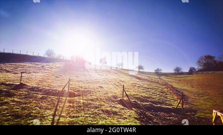A deserted, lonely cow pasture on a cold winter morning in Mühlheim an der Ruhr. Meadows and fields on a sunny winter day. Stock Photo