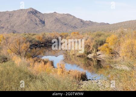 Scenic Desert Landscape in the Upper Verde River Arizona Stock Photo