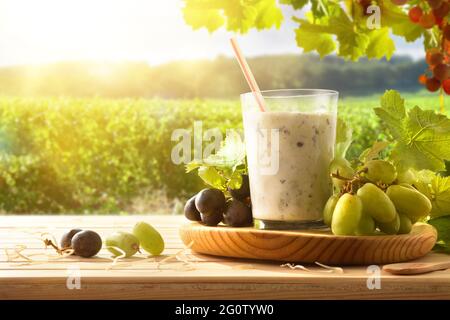 Grape drink with milk on wooden table with grape bunches and vineyard field in the background. Front view. Stock Photo