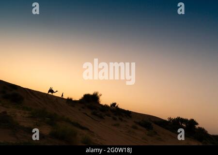 Sunrise at Thar desert, Rajasthan India with tourists riding camel and desert plants in frame. Stock Photo