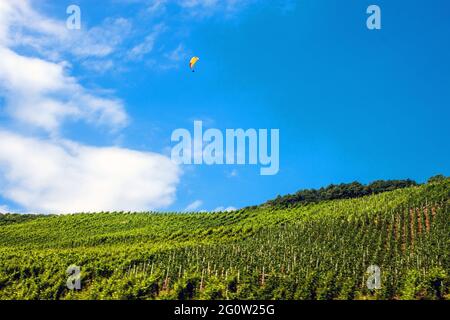Paraglides over Moselle valley, Germany Stock Photo