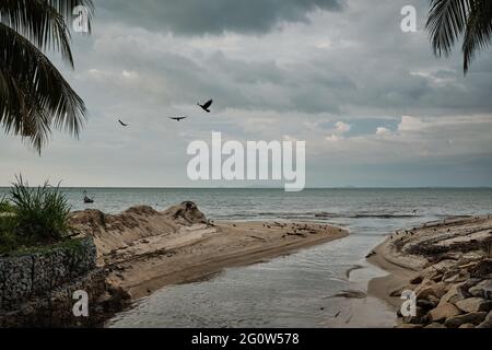 A small river flowing into the sea with crows flying near the mouth of the river in Penang, Malaysia, Asia. A stream flowing into the sea. Stock Photo