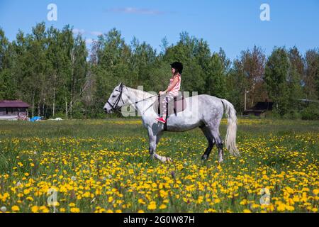 Little girl on a white horse on a sunny summer day Stock Photo