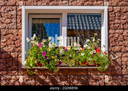view of colorful flowers of creepers on the window sill of a beautifully decorated window of a house made of decorative cladding Stock Photo