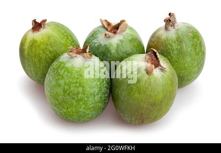 feijoa path isolated on white Stock Photo