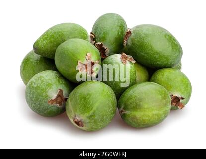 feijoa path isolated on white Stock Photo