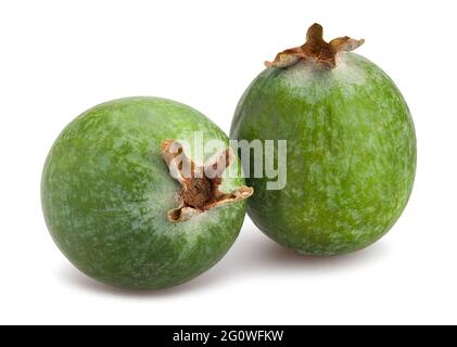 feijoa path isolated on white Stock Photo