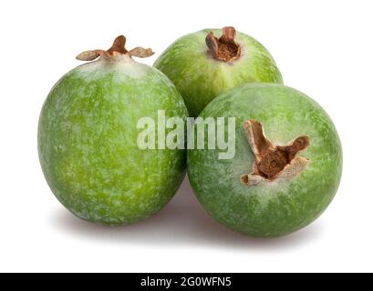 feijoa path isolated on white Stock Photo