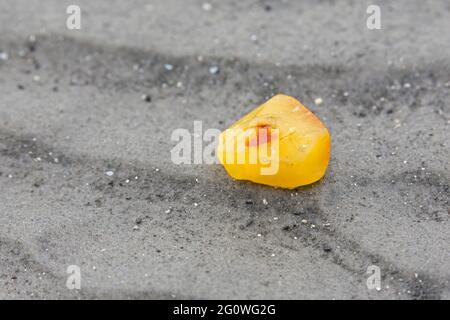 Amber nugget, fossilized tree resin, washed ashore on sandy beach of the Wadden Sea / North Sea, Germany Stock Photo