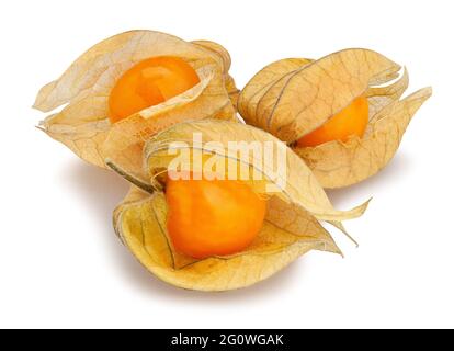 physalis path isolated on white Stock Photo